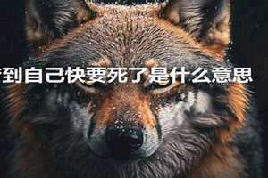 梦见自己将要离开人世(梦到自己快要死了是什么意思)