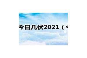 今日几伏第几天2023(今日几伏)