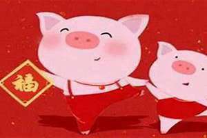 属猪今年几岁2024(属猪今年几岁)