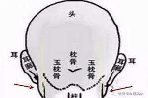 脑后见腮面相的女人(脑后见腮面相)
