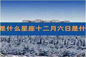 2004年农历十月十五是什么星座(十月十五是什么星座)