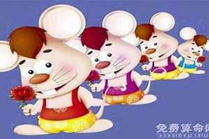 属鼠的人性格