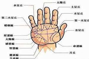 右手是哪只手图片 右手是哪只手的人