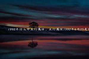 1992年什么年干支(1992年什么年)