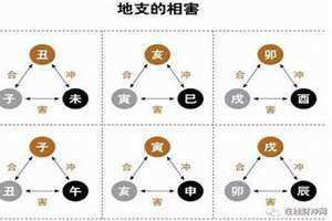 子未相害是什么意思?(子未相害)