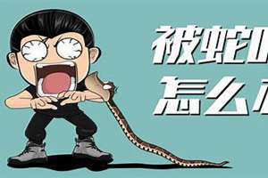 梦到被蛇咬了一口是什么寓意 梦到被蛇咬了一口然后把蛇杀了