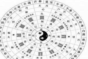 1982年的狗属什么五行 1994年狗属什么五行