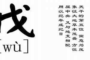 戌是什么意思怎么读 戌是什么意思