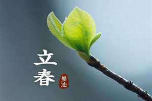 立春是什么意思(立春是什么)