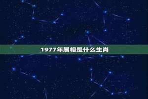 1977年属相是啥(1977年属相)