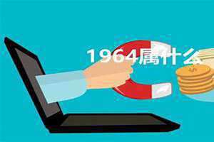 1964属啥