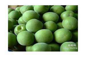 青竹梅怎么腌制 青竹梅什么季节才有?