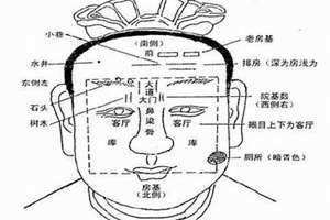 风水相术书籍(风水相术)