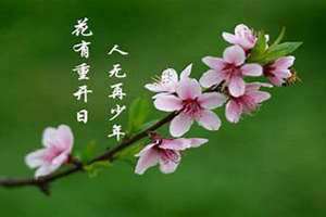 开日是什么意思(开日)