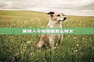 属狗今年婚姻有结果吗(属狗今年婚姻)