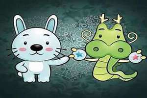 属兔和属蛇的相配吗(属兔和属龙的相配吗)