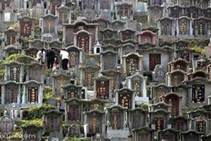 梦见墓地好多坟墓(梦见墓地)