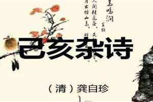情物的意思(情物)