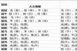 属狗女最佳婚配属相(属狗最佳婚配属相)