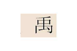 禹姓的来源和历史(禹姓)