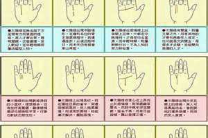 如何看掌纹线图解大全(如何看掌纹)