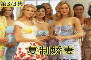 完美娇妻