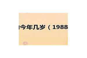 1988年今年几岁虚岁 1988年今年几岁属什么
