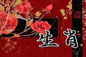 龙男和羊女适合婚配吗(属羊和属龙的相配吗)