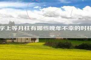 晚年不幸的时柱正印坐偏印 晚年不幸的时柱七杀