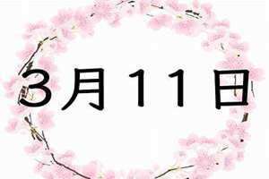 3月11日(3月11)