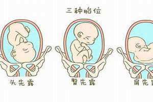 日柱自坐胎是什么意思 胎儿坐胎是什么意思