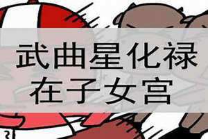 子女宫武曲贪狼(子女宫武曲)