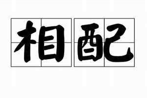 相配是什么意思?(相配)