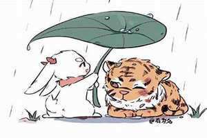老虎与兔子属相合不合 老虎与兔子满月游戏