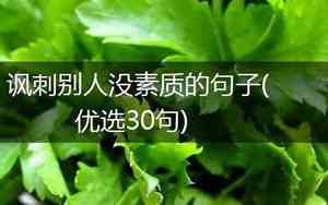 如何讽刺没素质的句子说说