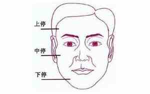 全身都是疤的面相图片