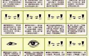 女子的眼型