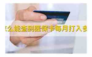 医保卡每月打入多少钱2023年