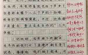 写事的句子摘抄带评语怎么写