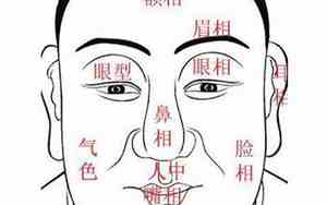 天庭凸起来的面相女