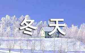 冬天的花优美句子大全图片