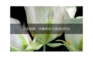 关于第一次唯美的句子有哪些