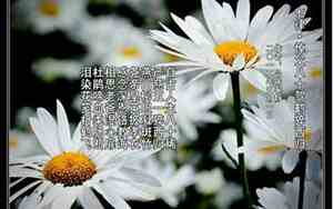99岁老人仙逝祝福语
