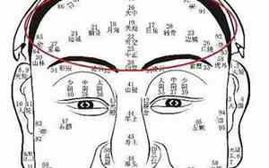 天庭额骨突出面相分析