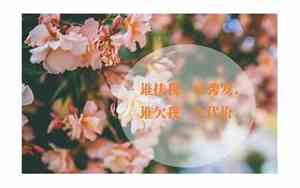 好听的唯美经典句子英文