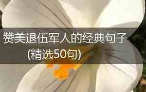 赞美军人的句子