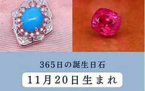 农历11月20日是什么日子