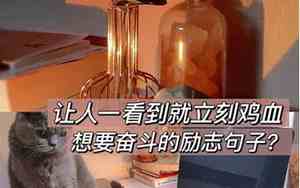 励志故事或句子大全