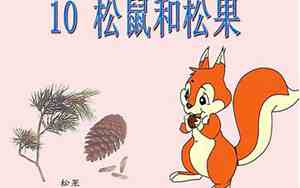 10课松鼠的句子怎么写