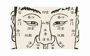 大金狗的面相特征图片
